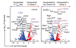 Nature：免疫系統(tǒng)在對(duì)抗癌癥的過(guò)程中最大的敵人居然是自己！