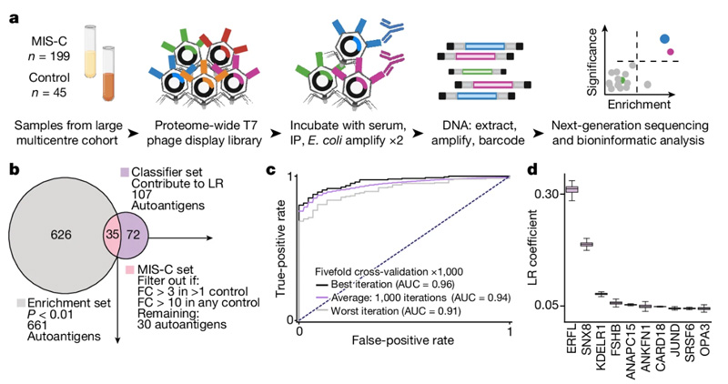 自身抗原將MIS-C與高危對照區(qū)分 自身抗原將MIS-C與高危對照區(qū)分