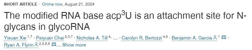 修飾的RNA堿基acp3U是糖RNA中N-聚糖的附著位點(diǎn)