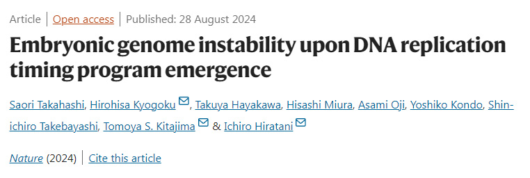 DNA復制定時程序出現時胚胎基因組的不穩(wěn)定性 DNA復制定時程序出現時胚胎基因組的不穩(wěn)定性