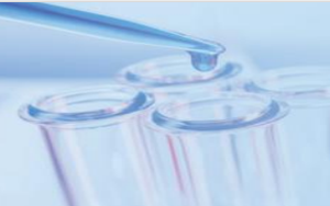 邁瑞引燃股市熱潮，西寶配對抗體助力再攀診斷市場新高