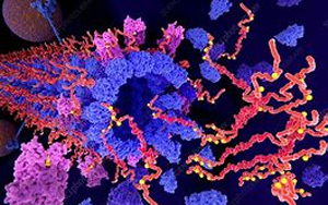 Tau不僅是“壞人”，它還扮演著“好人”的角色，保護我們的大腦