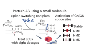 Nature Genetics：驚奇地發(fā)現(xiàn)選擇性剪接比蛋白質(zhì)多樣性更能影響基因表達(dá)？