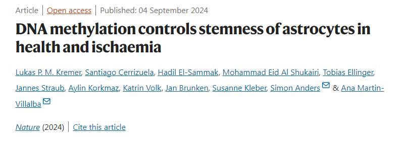 DNA甲基化控制健康和缺血星形膠質(zhì)細(xì)胞的干性 DNA甲基化控制健康和缺血星形膠質(zhì)細(xì)胞的干性