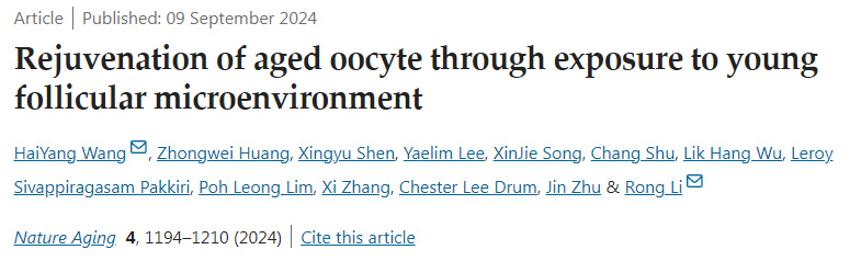 
通過(guò)暴露于年輕卵泡微環(huán)境使老年卵母細(xì)胞再生