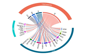 《自然醫(yī)學》：一種新的血液測試可以作為兒童糖尿病的早期預警