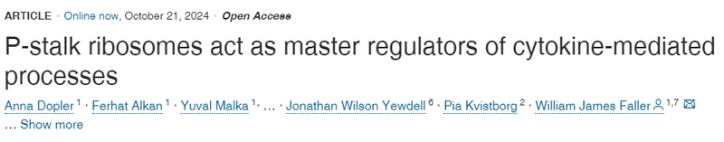 P-柄核糖體是細胞因子介導(dǎo)過程的主要調(diào)節(jié)因子
P-柄核糖體是細胞因子介導(dǎo)過程的主要調(diào)節(jié)因子