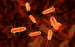 《Nature》腸道中的某些大腸桿菌如何促進(jìn)結(jié)腸癌？