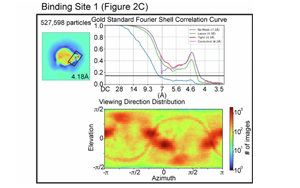 Nature里程碑成果：首次證明了“壞”膽固醇如何從血液中被清除的機(jī)制
