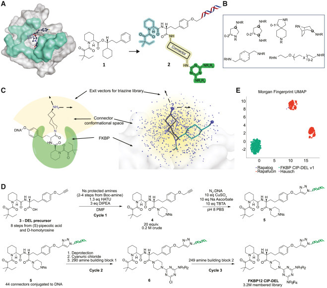 文庫設計與合成