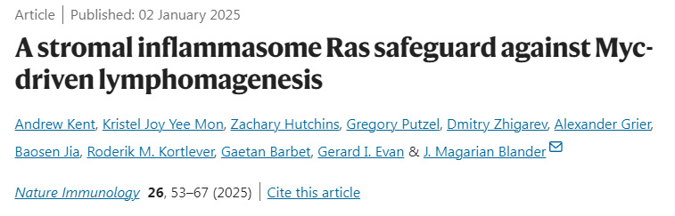 基質(zhì)炎性小體Ras對Myc驅(qū)動的淋巴結(jié)生成的保護(hù)作用