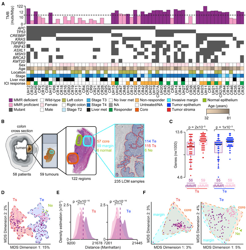 ER-NTD中的疏水性聚集 ER-NTD中的疏水性聚集
