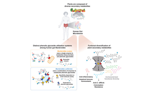 Cell：將飲食和腸道微生物結(jié)合起來(lái)預(yù)防胃腸道疾病
