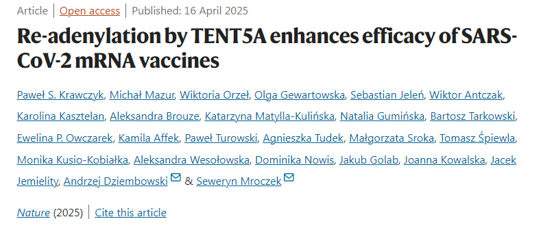 TENT5A的再腺苷酸化增強SARS-CoV-2 mRNA疫苗的療效