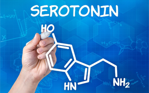 Science解開長期謎題：破譯血清素在我們大腦中的作用
