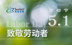 五一勞動節(jié)放假通知|致敬不凡 禮贊平凡