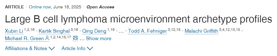 大B細胞淋巴瘤微環(huán)境原型特征圖譜