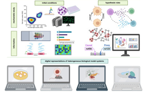 Cell：多年、多實驗室合作，科學家們成功模擬癌細胞