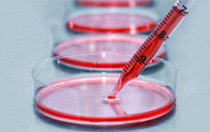 細(xì)胞培養(yǎng)基，撐起生物醫(yī)藥的半壁江山