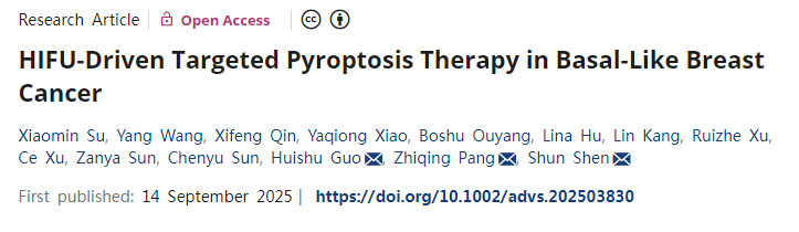 HIFU驅(qū)動靶向細胞焦亡療法治療基底細胞樣乳腺癌