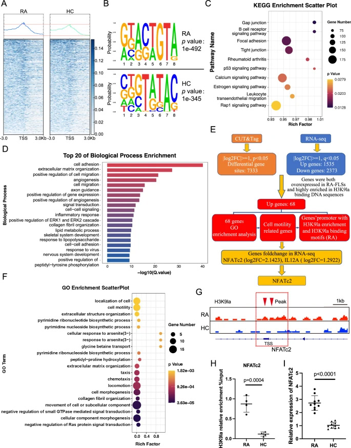 運(yùn)用CUT&Tag與RNA-seq技術(shù)篩選H3K9乳酸化修飾在類風(fēng)濕關(guān)節(jié)炎成纖維樣滑膜細(xì)胞中調(diào)控的靶基因 運(yùn)用CUT&Tag與RNA-seq技術(shù)篩選H3K9乳酸化修飾在類風(fēng)濕關(guān)節(jié)炎成纖維樣滑膜細(xì)胞中調(diào)控的靶基因