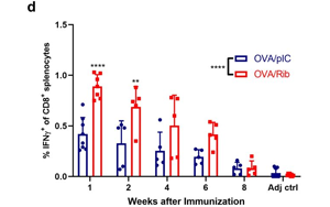 將免疫療法效果提升近3倍！這款進(jìn)入1期臨床的抗癌疫苗，會是癌癥“終結(jié)者”嗎？