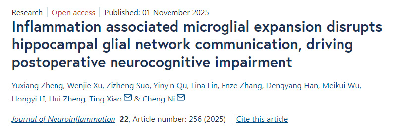 炎癥相關(guān)的小膠質(zhì)細(xì)胞擴(kuò)增會(huì)破壞海馬區(qū)膠質(zhì)細(xì)胞網(wǎng)絡(luò)的通信，進(jìn)而引發(fā)術(shù)后神經(jīng)認(rèn)知功能障礙