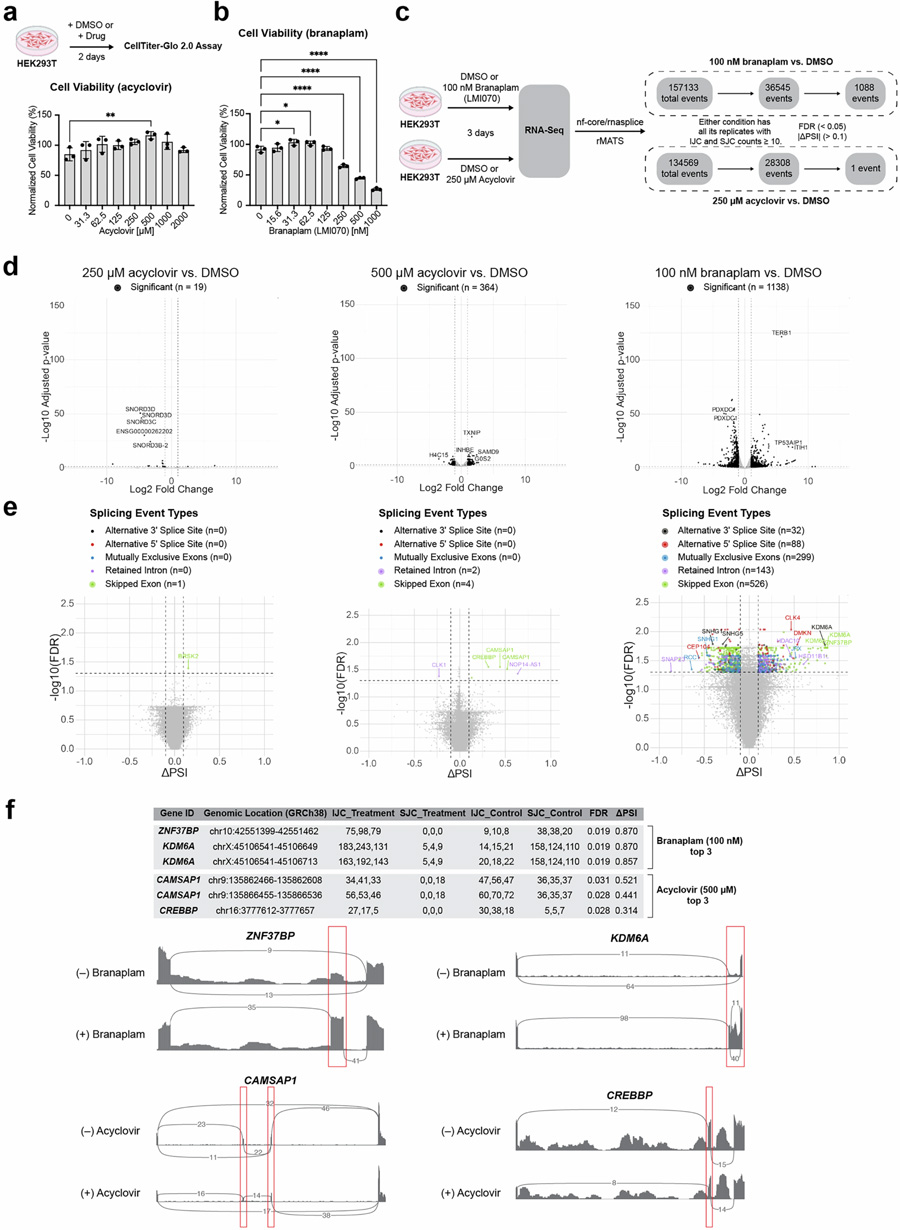 阿昔洛韋處理對細胞活力、基因表達及選擇性剪接的影響