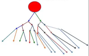 譜系限制性干細(xì)胞對人類造血的穩(wěn)定克隆貢獻(xiàn)揭示造血干細(xì)胞命運(yùn)決定新機(jī)制