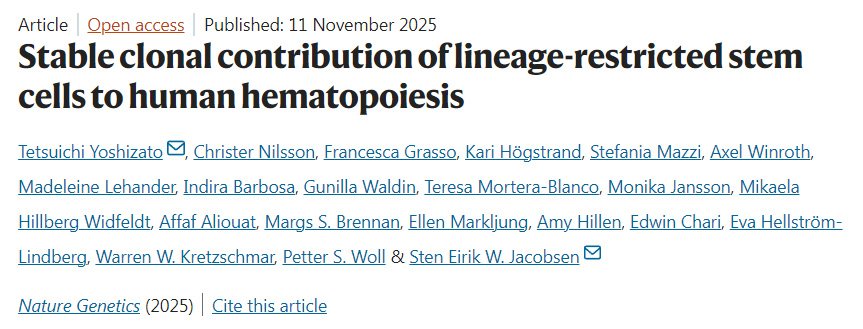 譜系限制性干細(xì)胞對(duì)人類造血的穩(wěn)定克隆貢獻(xiàn) 譜系限制性干細(xì)胞對(duì)人類造血的穩(wěn)定克隆貢獻(xiàn)