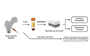 在白血病發(fā)生之前，慢性炎癥重塑了骨髓微環(huán)境