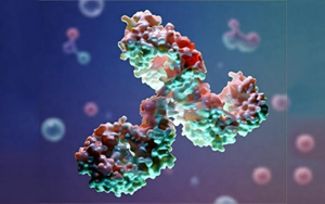 糖基化分析在生物制藥中的應(yīng)用