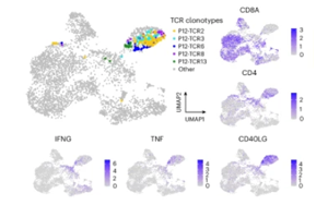 靶向DNAJ-PKAc融合蛋白的肽疫苗聯(lián)合免疫檢查點(diǎn)抑制劑治療纖維板層型肝癌的Ⅰ期臨床試驗(yàn)研究