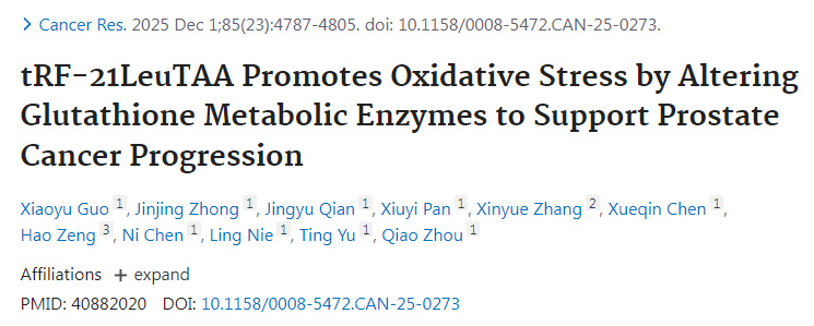tRF-21LeuTAA通過(guò)調(diào)控谷胱甘肽代謝酶促進(jìn)氧化應(yīng)激從而支持前列腺癌進(jìn)展