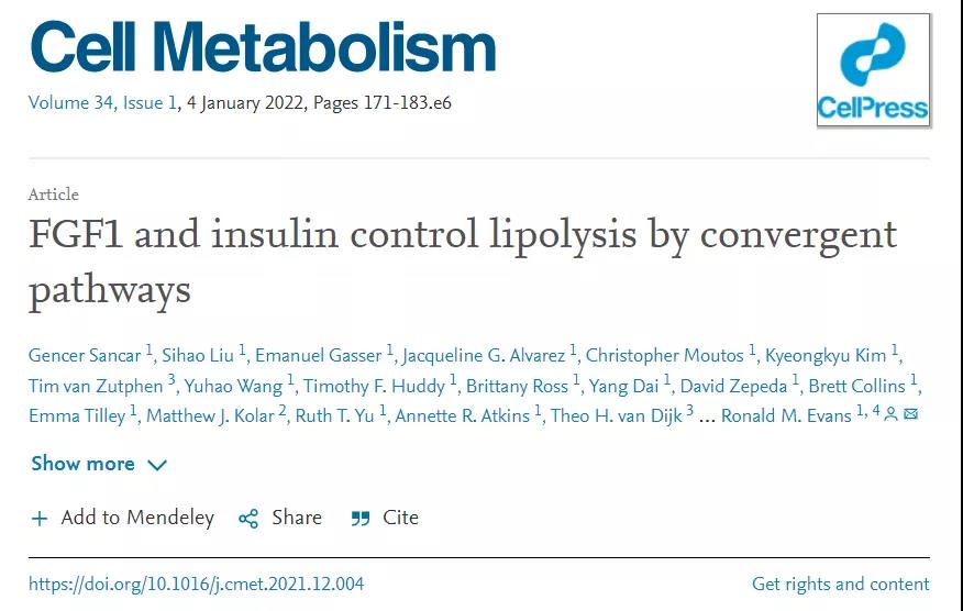 Cell子刊：糖尿病治療新突破！科學(xué)家發(fā)現(xiàn)了獨立于胰島素之外的新降糖途徑