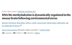 別再emo了，情緒真的能夠改變基因！
