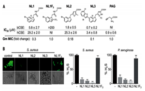 抗生素濫用問題如何解決？Science 新研究揭示抗生素輔助抑制劑的新進(jìn)展