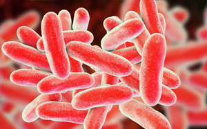 已確診19例！繼新冠和猴痘之后，美國軍團(tuán)病疫情來勢(shì)洶洶