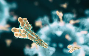 震驚！多數(shù)國(guó)人體內(nèi)無(wú)有效抗體，國(guó)產(chǎn)新冠mRNA疫苗或安全有效！