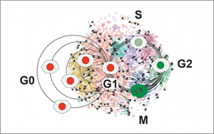 癌細(xì)胞殺不完？不如試試將腫瘤“永久休眠”！