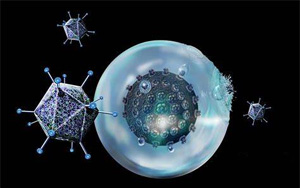 “抗癌利器”療效再提升！賓大研究團(tuán)隊(duì)開(kāi)發(fā)的免疫療法CAR-T再獲突破