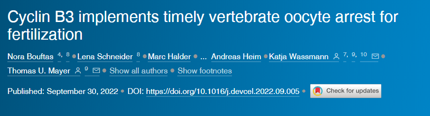 兩種蛋白質(zhì)“Cyclin B3”和“Emi2”的相互作用以及它們對該過程時(shí)間表的影響