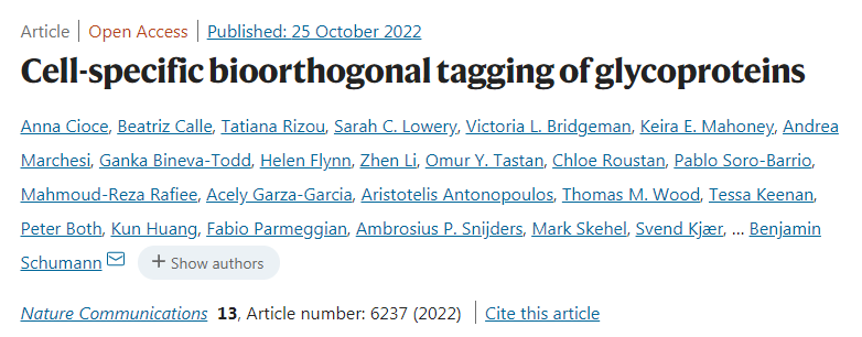 科學(xué)家團(tuán)隊(duì)開發(fā)了新方法可以識別由特定類型的細(xì)胞釋放的蛋白質(zhì)