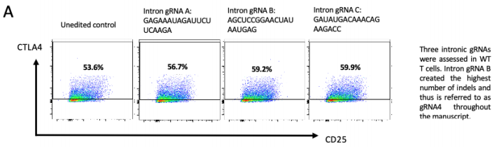FACs圖示三種不同gRNA靶向基因內(nèi)區(qū)經(jīng)核轉(zhuǎn)染后代表性的正常CTLA-4表面表達 FACs圖示三種不同gRNA靶向基因內(nèi)區(qū)經(jīng)核轉(zhuǎn)染后代表性的正常CTLA-4表面表達