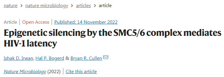 一種可能進化為幫助對抗感染的免疫反應(yīng)似乎是驅(qū)使人類免疫缺陷病毒(HIV)進入潛伏狀態(tài)的機制 一種可能進化為幫助對抗感染的免疫反應(yīng)似乎是驅(qū)使人類免疫缺陷病毒(HIV)進入潛伏狀態(tài)的機制