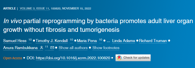 一種可能進(jìn)化為幫助對抗感染的免疫反應(yīng)似乎是驅(qū)使人類免疫缺陷病毒(HIV)進(jìn)入潛伏狀態(tài)的機(jī)制 一種可能進(jìn)化為幫助對抗感染的免疫反應(yīng)似乎是驅(qū)使人類免疫缺陷病毒(HIV)進(jìn)入潛伏狀態(tài)的機(jī)制