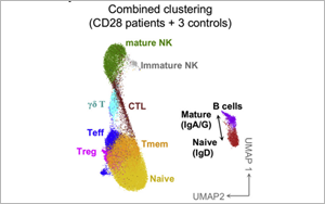 這類人群感染HPV后可能成為“樹人”！Cell揭示CD28缺乏與HPV易感性之間的關(guān)系