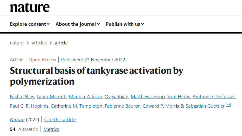 科學(xué)家們已經(jīng)揭示了一種涉及廣泛細(xì)胞過程的關(guān)鍵蛋白質(zhì)的內(nèi)部工作原理