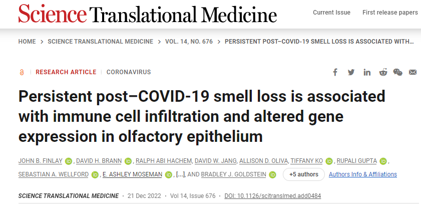 新冠肺炎后無(wú)法恢復(fù)嗅覺(jué)與免疫系統(tǒng)對(duì)嗅覺(jué)神經(jīng)細(xì)胞的持續(xù)攻擊以及這些細(xì)胞數(shù)量的相關(guān)下降有關(guān) 新冠肺炎后無(wú)法恢復(fù)嗅覺(jué)與免疫系統(tǒng)對(duì)嗅覺(jué)神經(jīng)細(xì)胞的持續(xù)攻擊以及這些細(xì)胞數(shù)量的相關(guān)下降有關(guān)