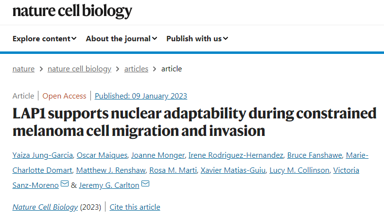 研究發(fā)現(xiàn)LAP1蛋白質(zhì)的升高與黑素瘤患者預(yù)后不良有關(guān) 研究發(fā)現(xiàn)LAP1蛋白質(zhì)的升高與黑素瘤患者預(yù)后不良有關(guān)